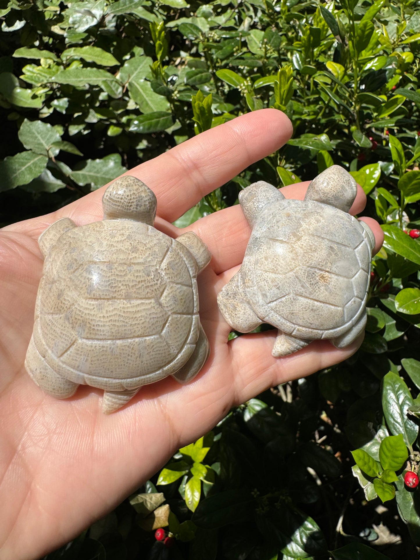 Coral Jasper Tortoise Carving