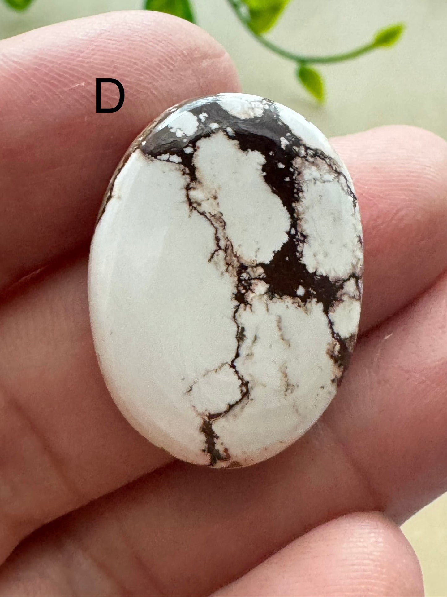 Wild Horse Jasper Cabochon