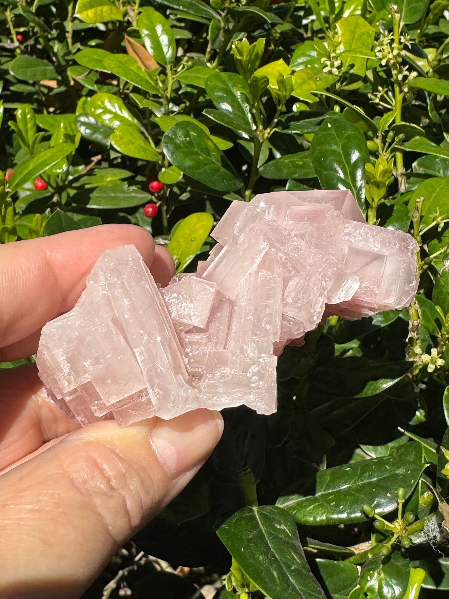 Pink Halite Crystal Specimen