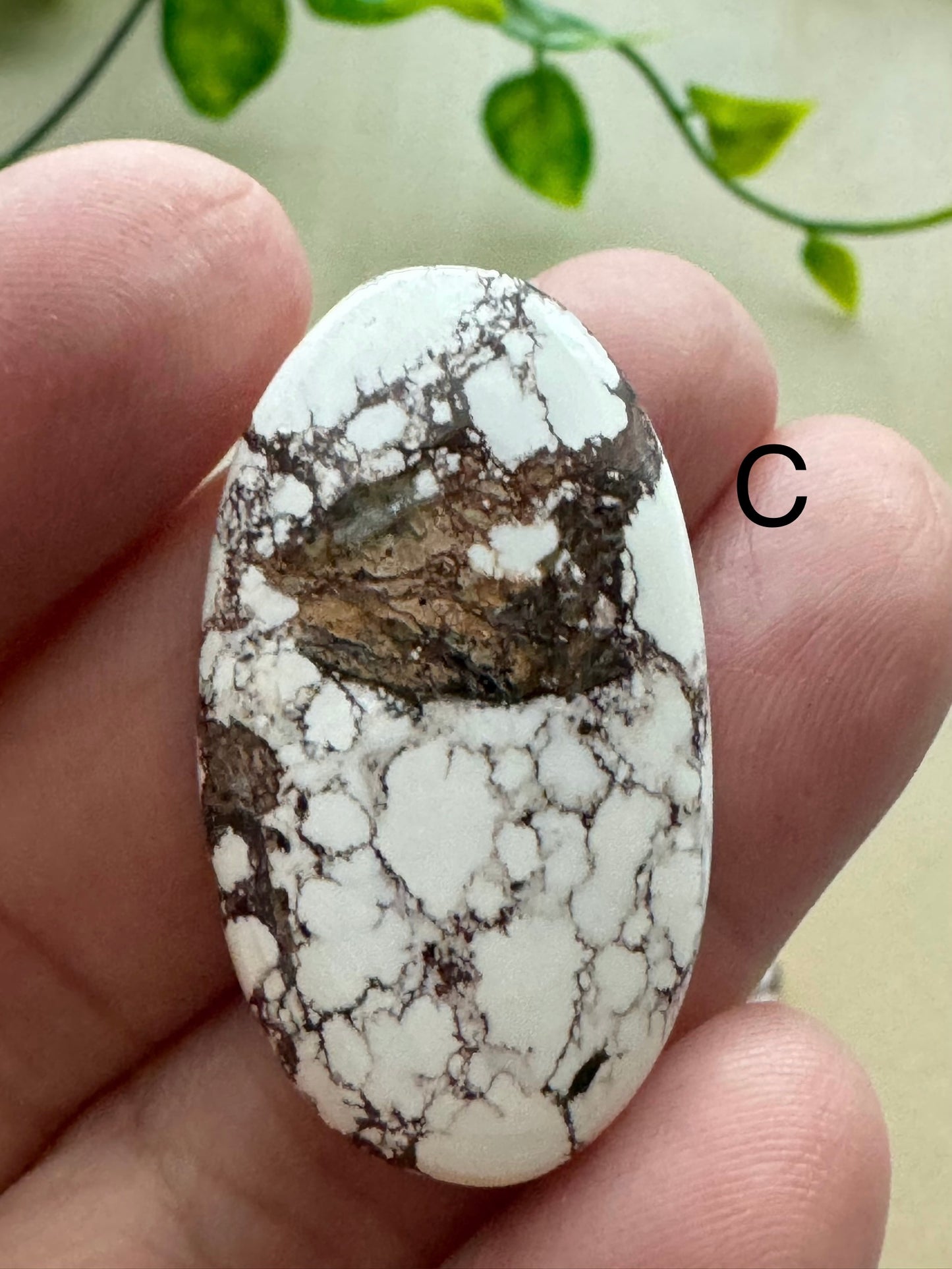 Wild Horse Jasper Cabochon