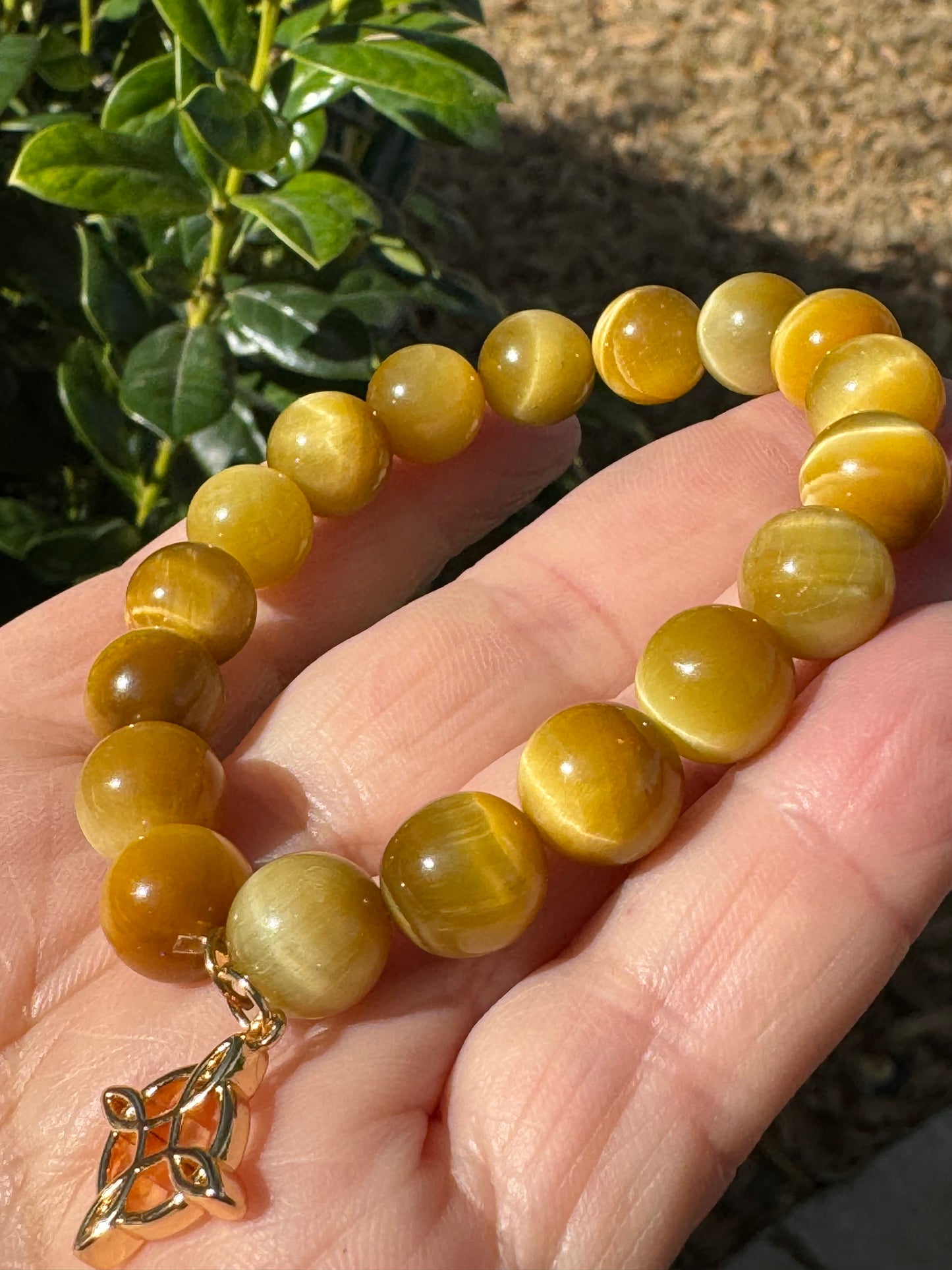 Gold Tiger's Eye Bracelet 10mm