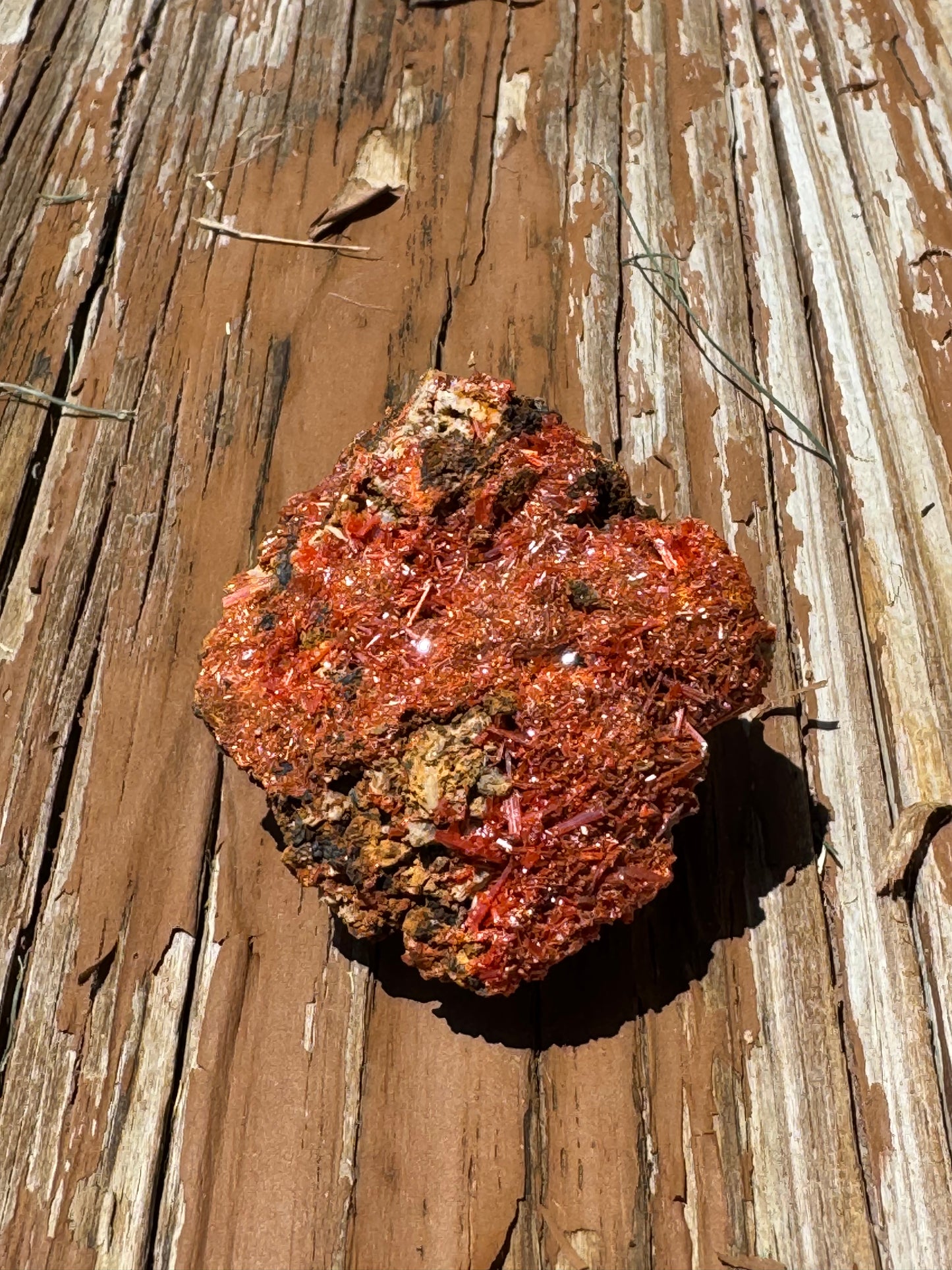 Rare Crocoite Mineral Specimen