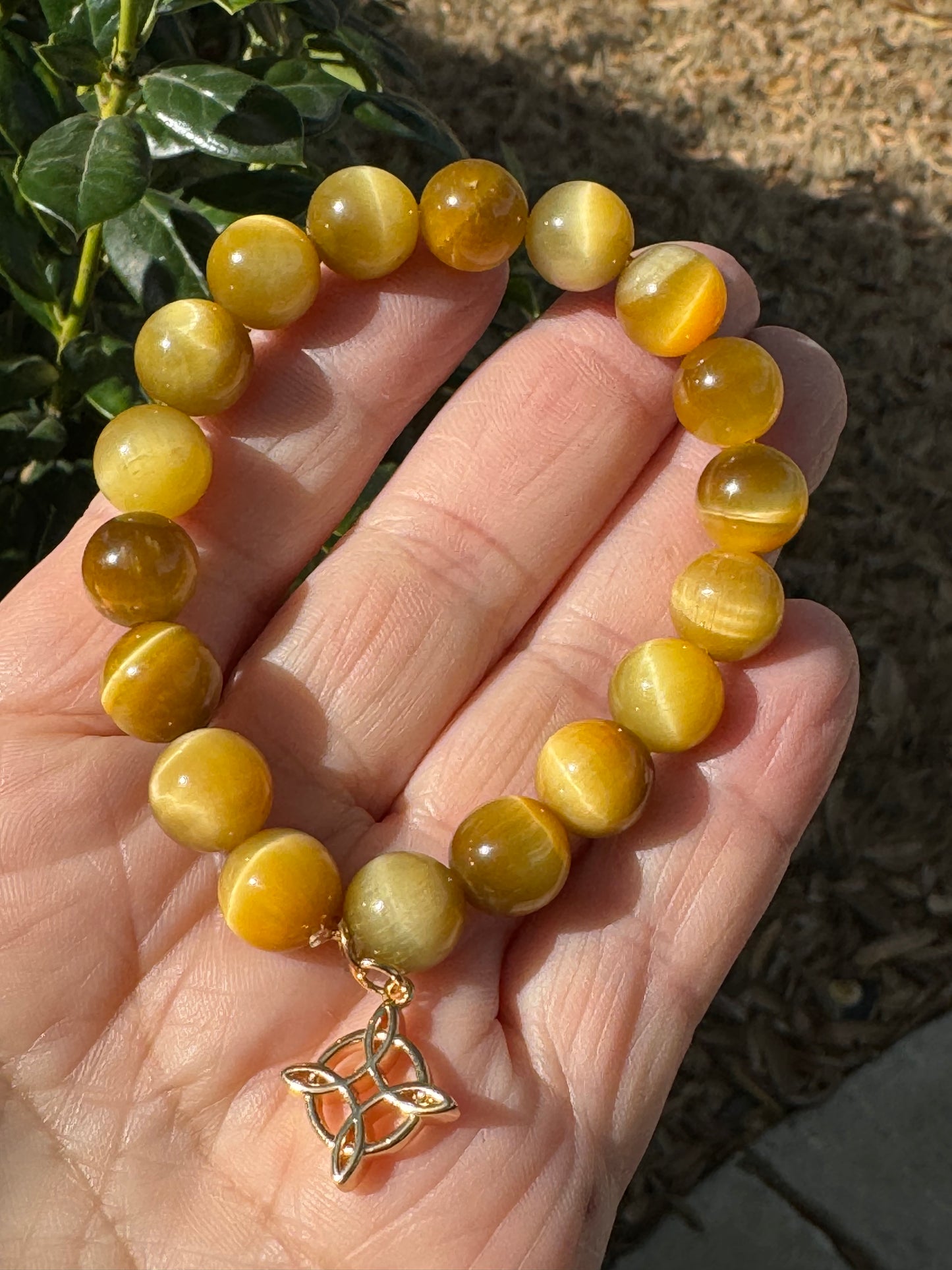 Gold Tiger's Eye Bracelet 10mm