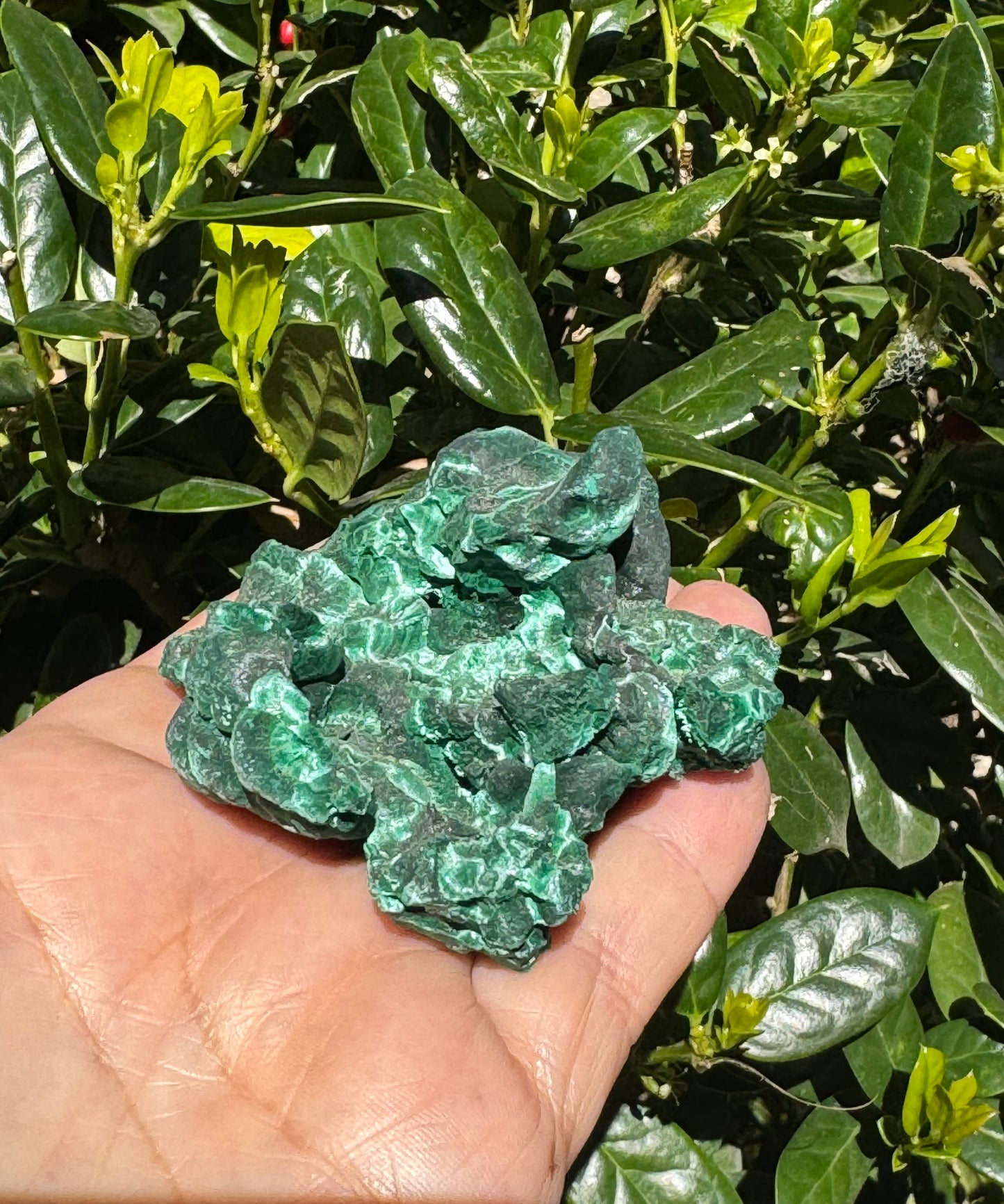 Velvet Malachite Specimen