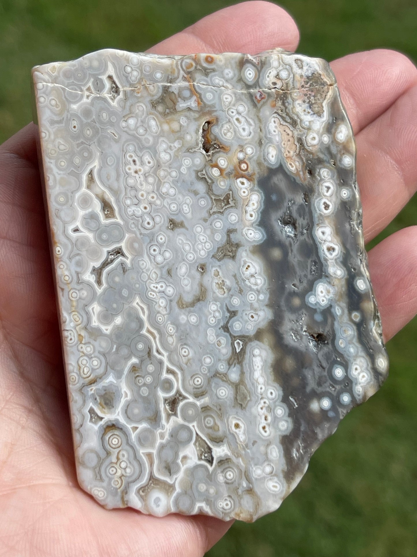 Ocean Jasper Slab