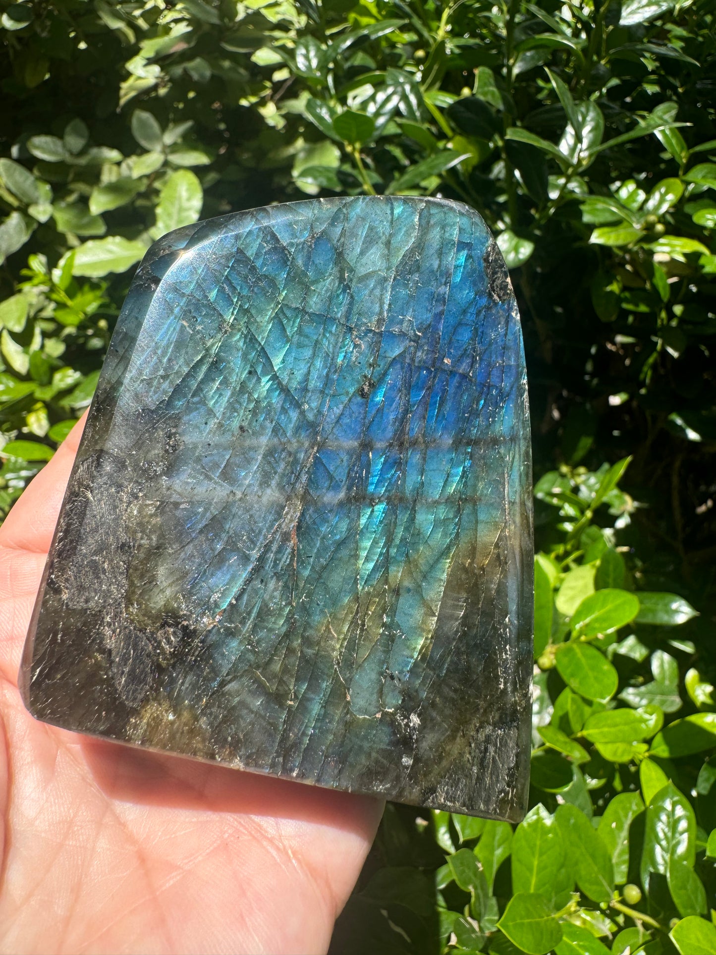 Labradorite Freeform 90mm