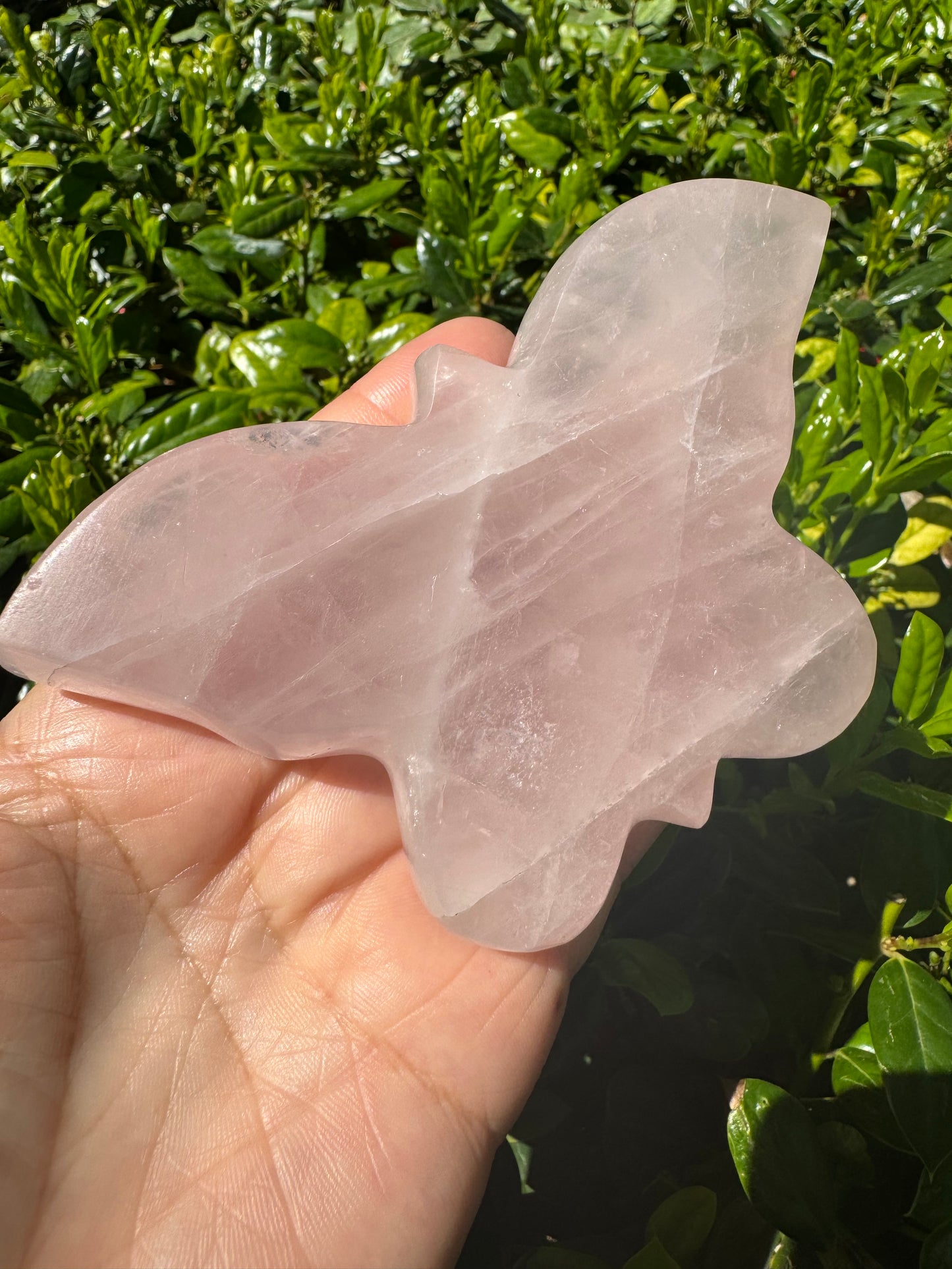 Rose Quartz Butterfly Carving