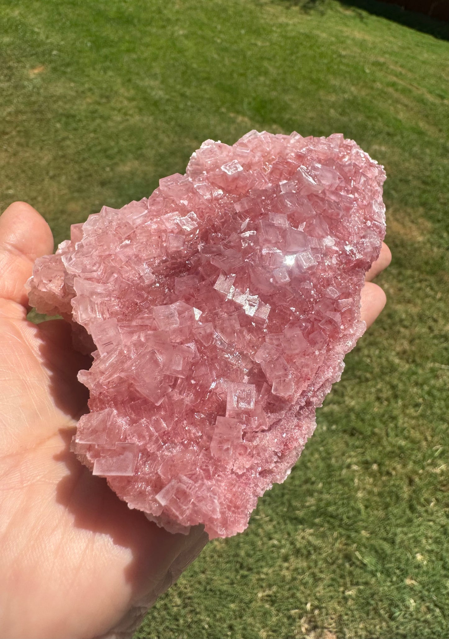 Pink Halite Crystal Specimen
