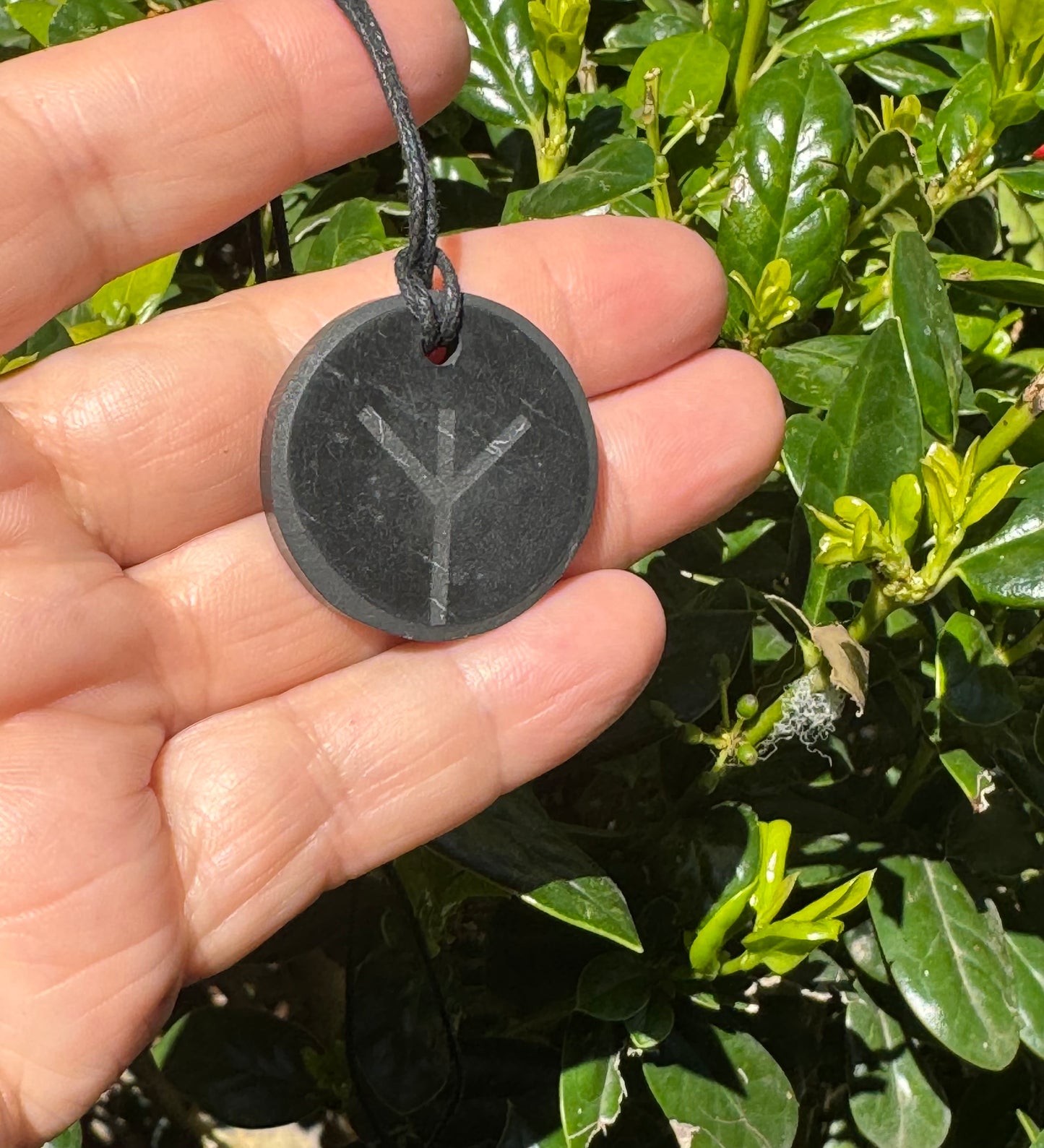 Shungite Pendant