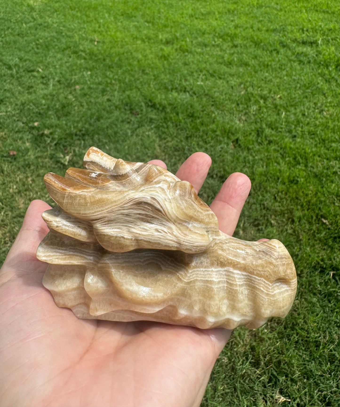 Natural Amber Cherry Agate Dragon Head Carving Large