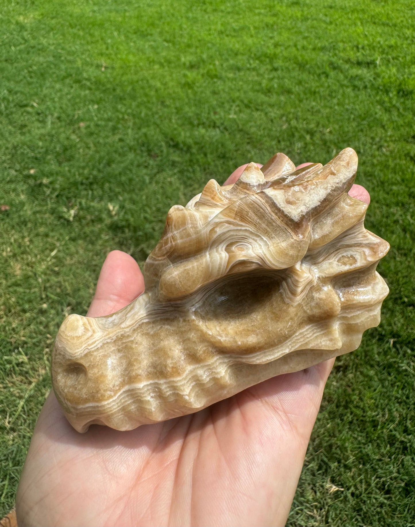 Natural Amber Cherry Agate Dragon Head Carving Large