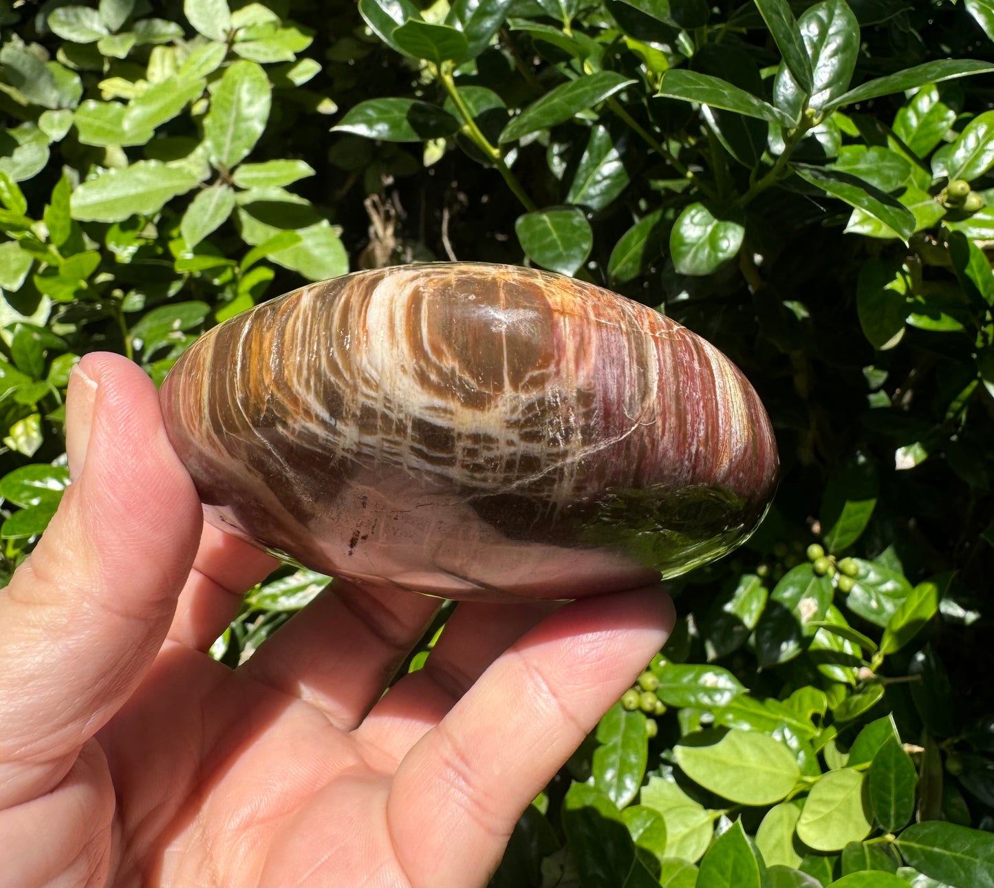 Petrified Wood Heart