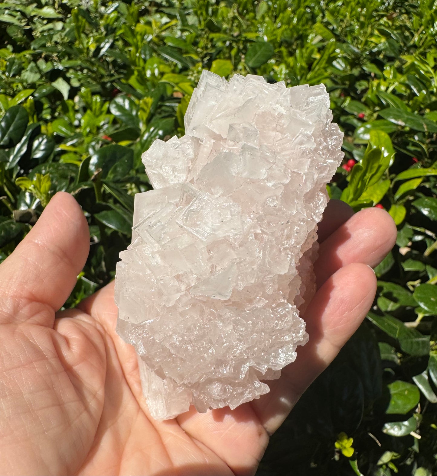 Pink Halite Crystal Specimen