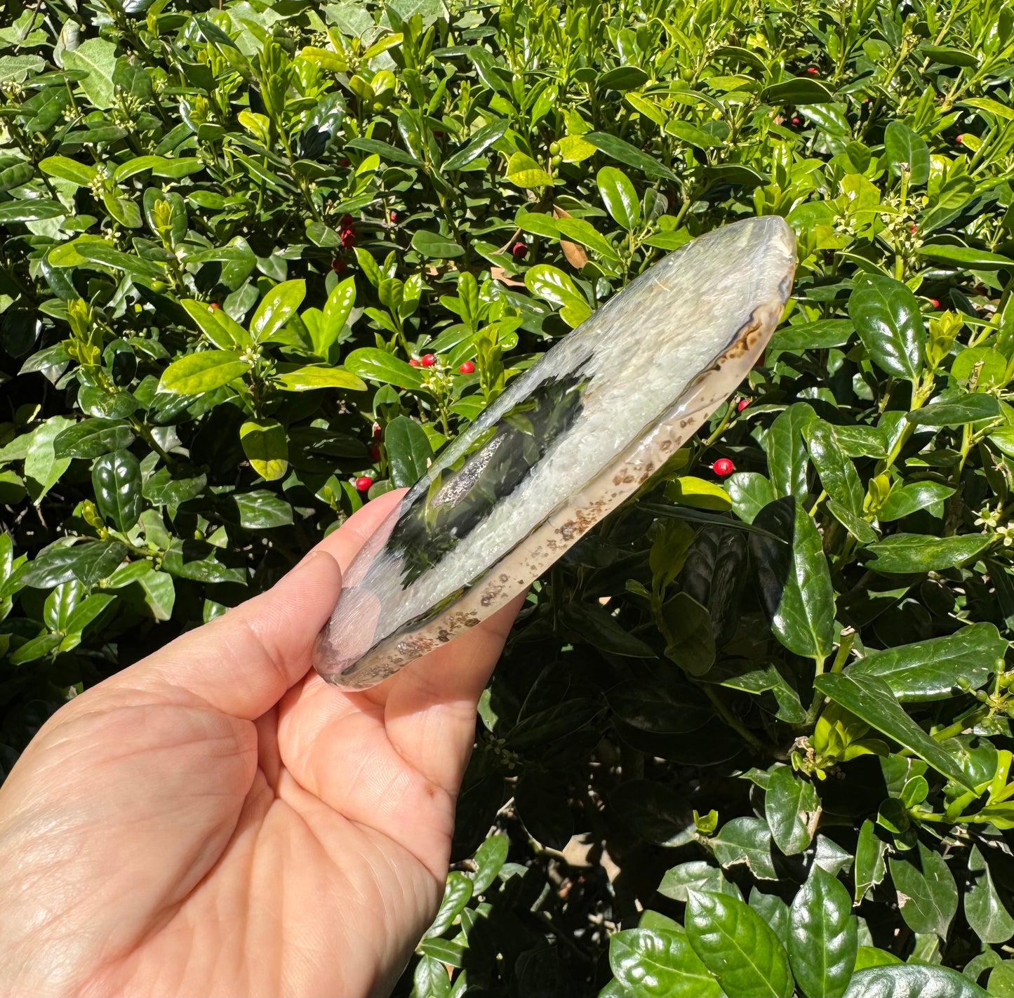 Druzy Agate Slab - Agate Slice