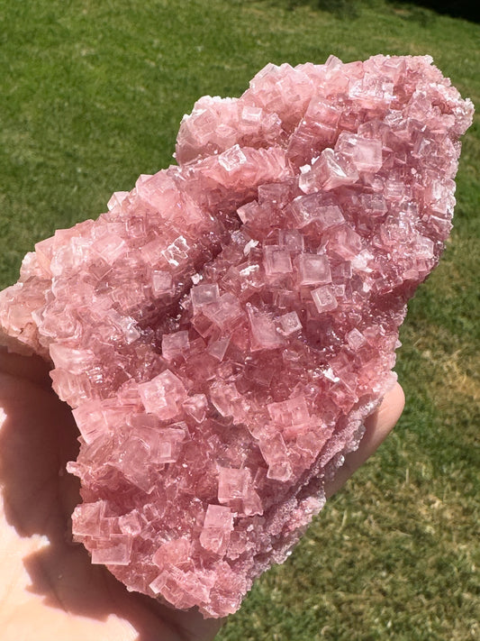 Pink Halite Crystal Specimen