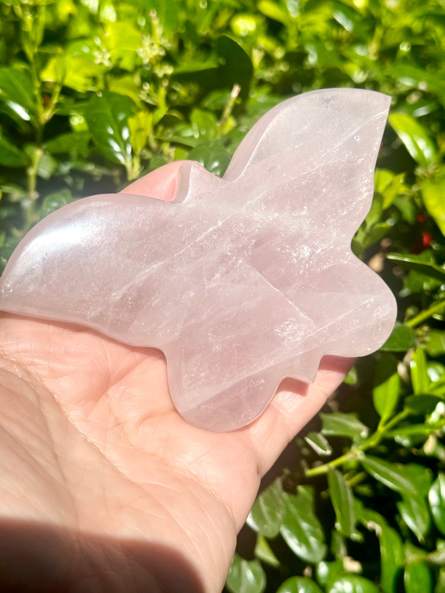 Rose Quartz Butterfly Carving