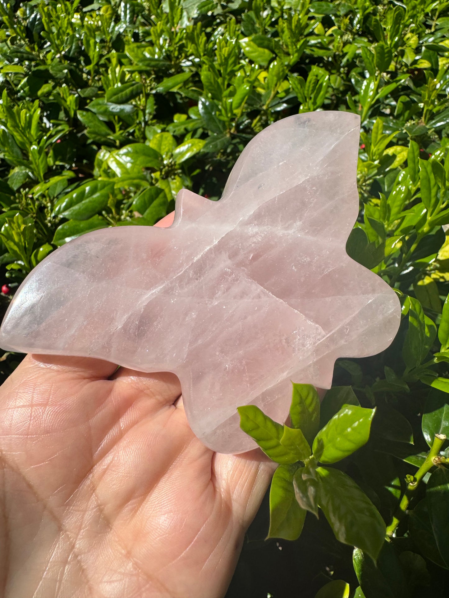 Rose Quartz Butterfly Carving