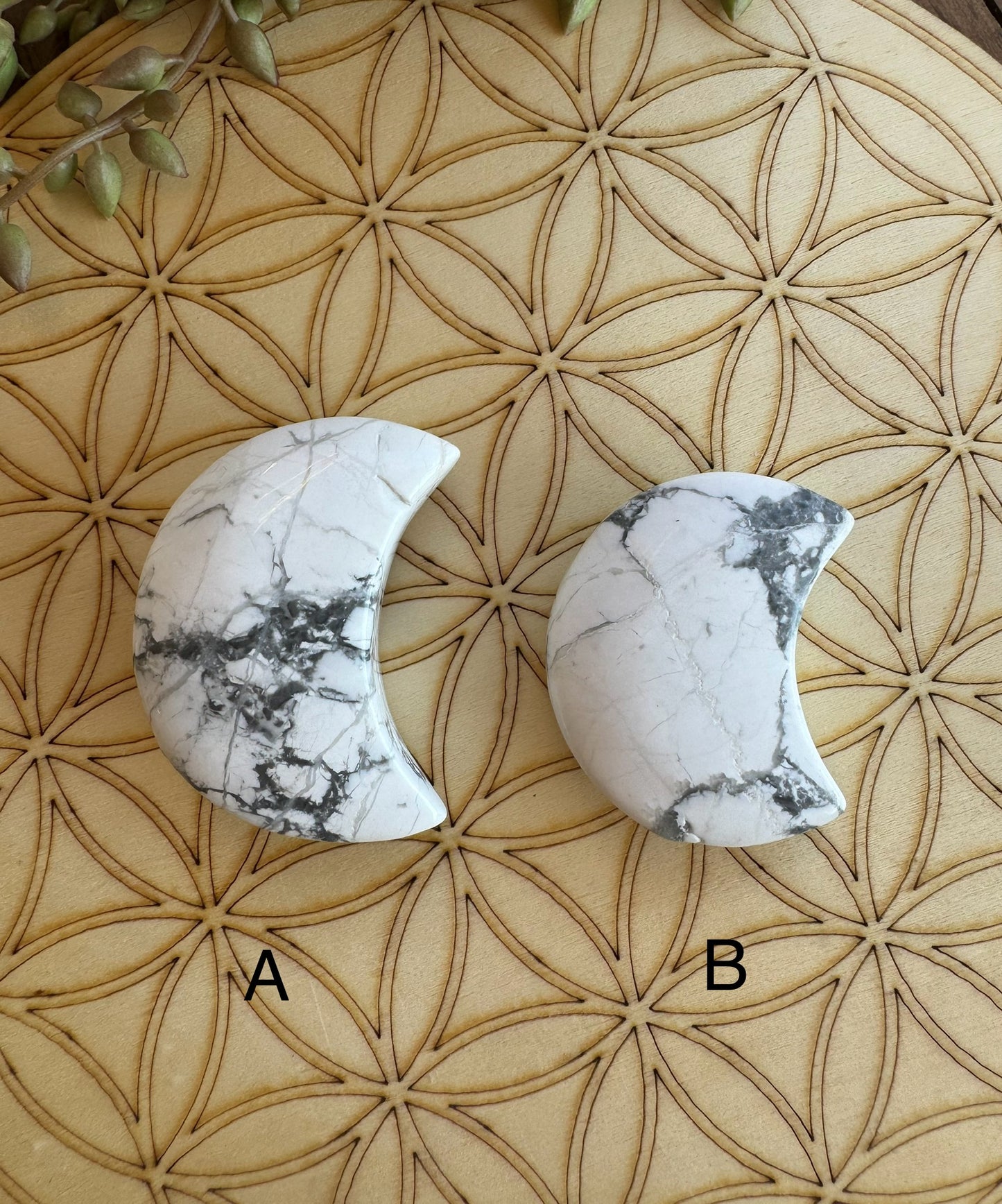 Howlite Half Moon Carving