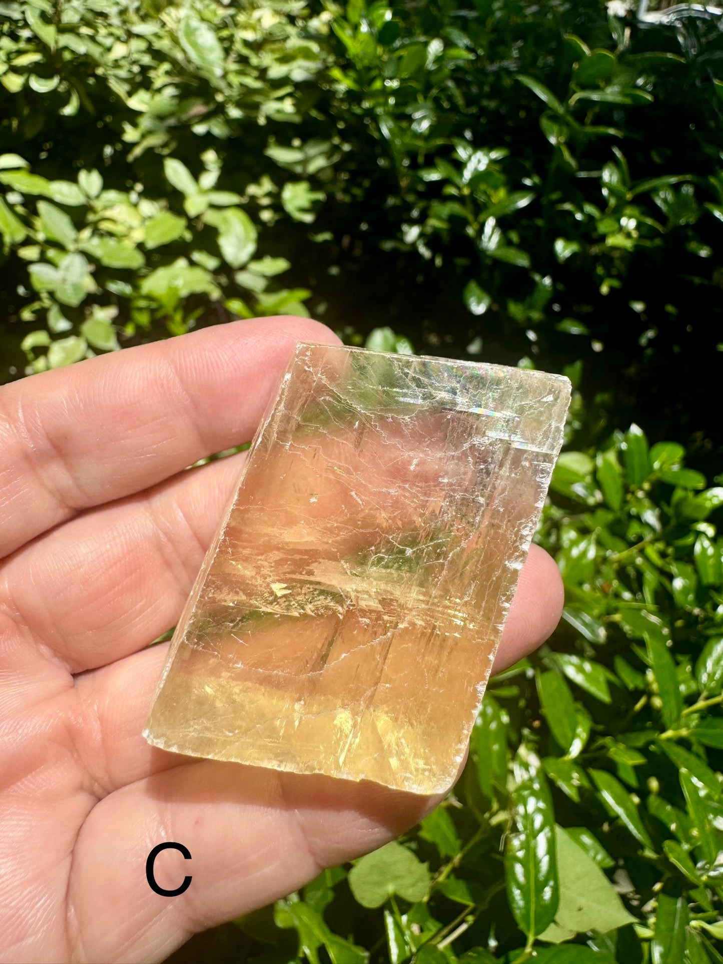 Honey Calcite Free form Raw