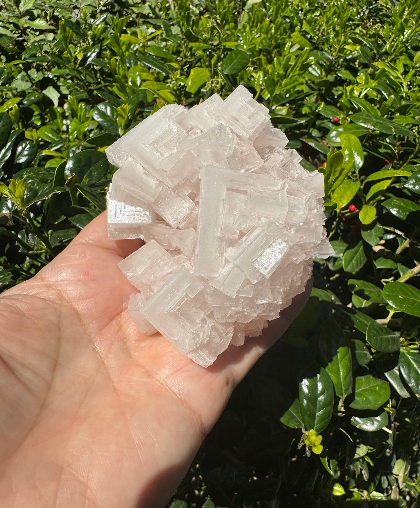 Pink Halite Crystal Specimen