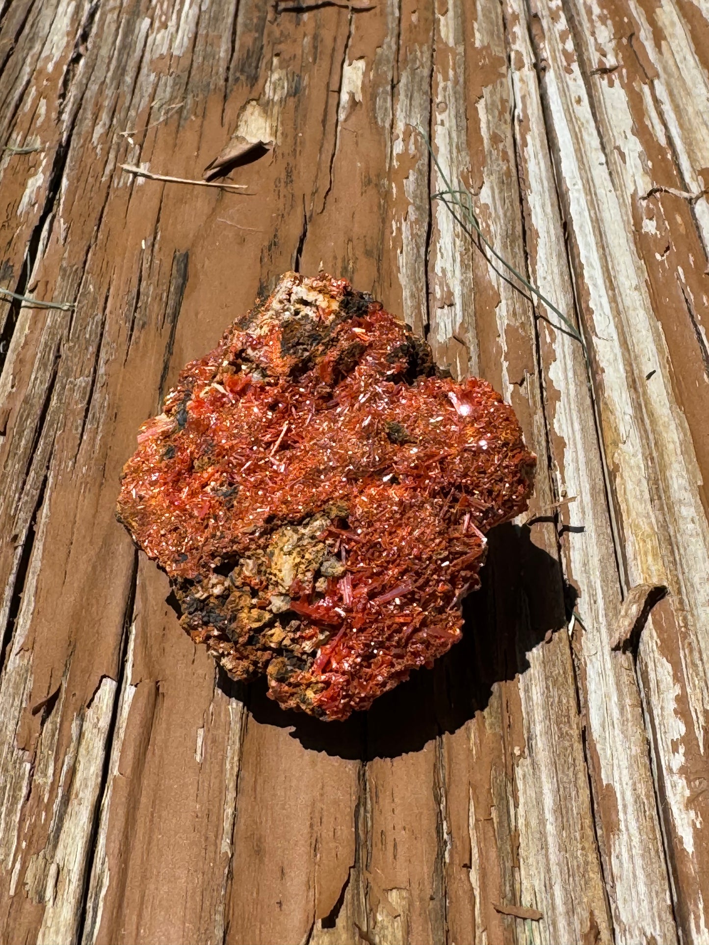 Rare Crocoite Mineral Specimen