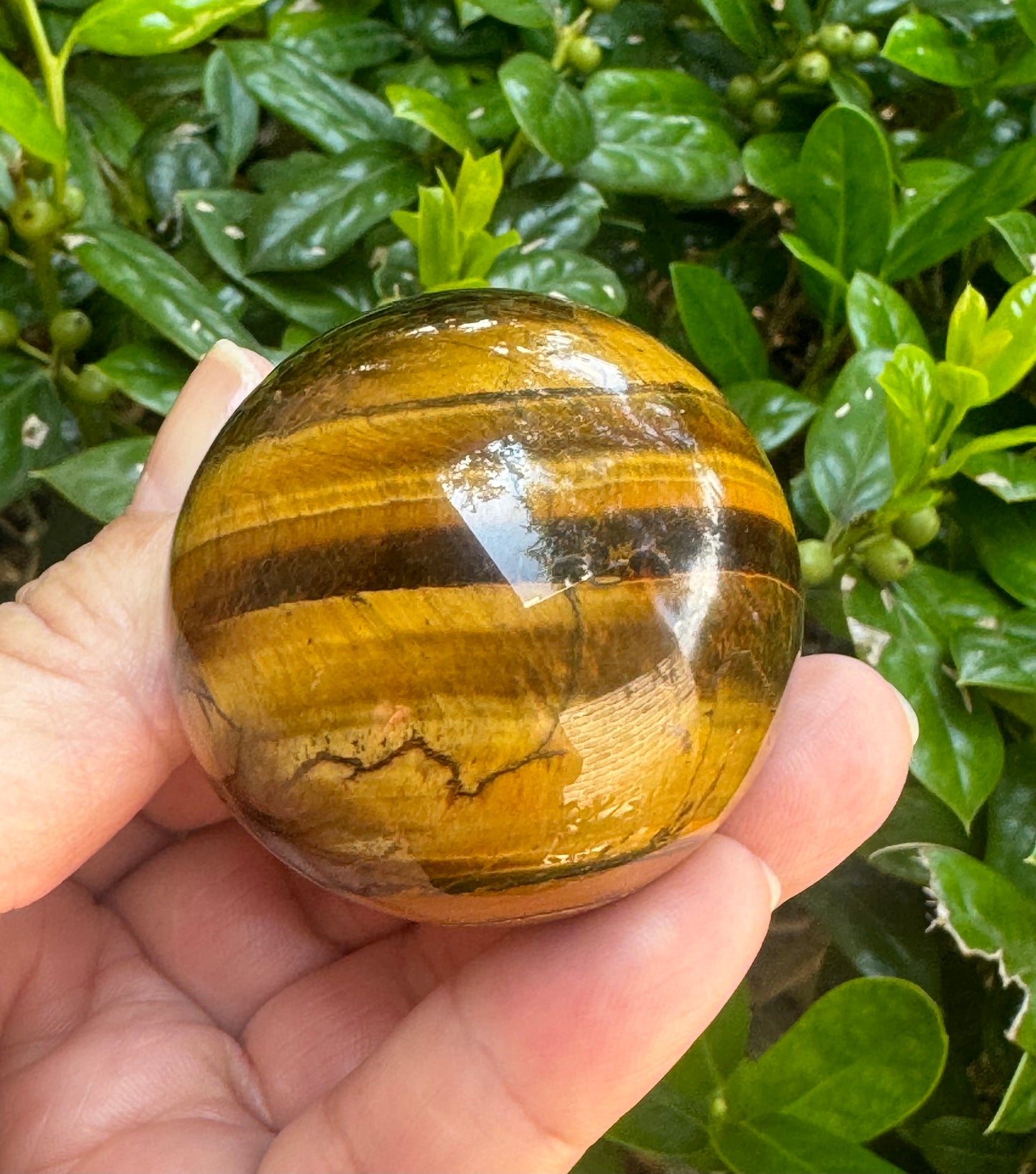 Tiger's Eye Sphere