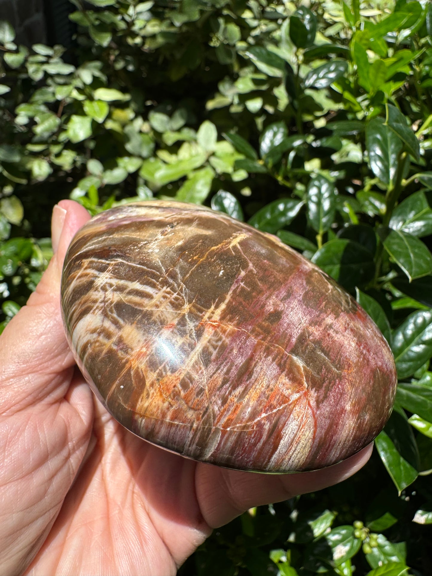 Petrified Wood Heart