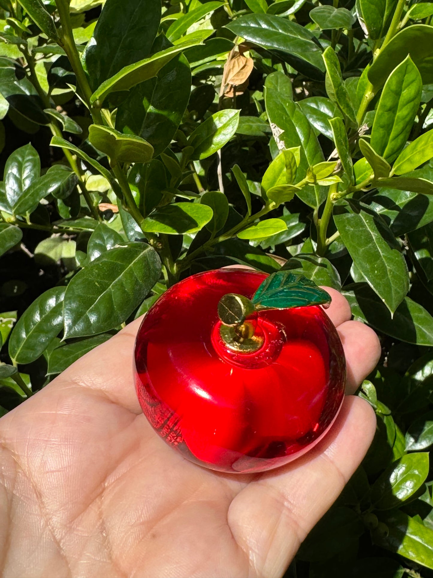 Red Glass Apple Paperweight