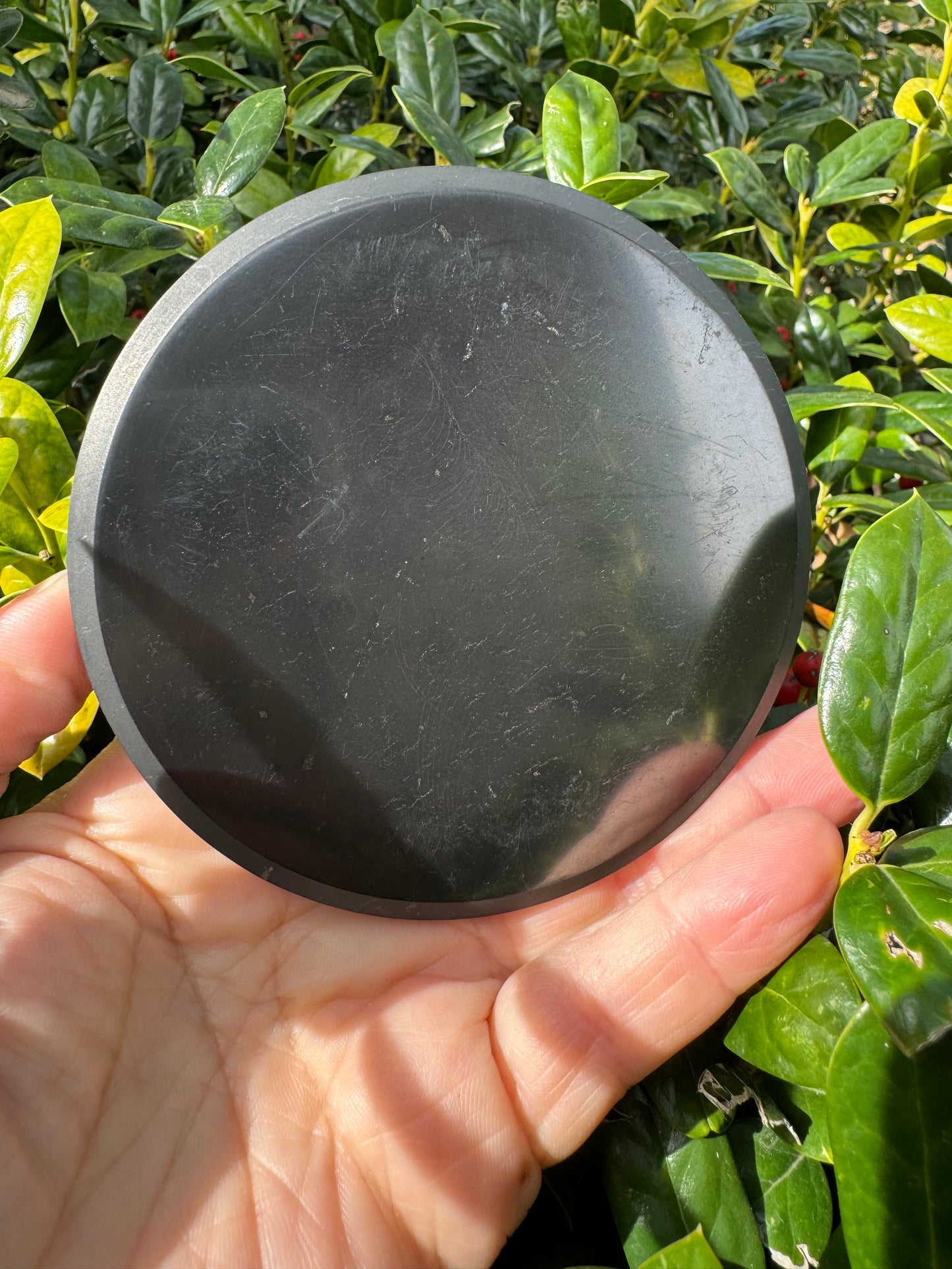 Shungite Plate Tree of Life