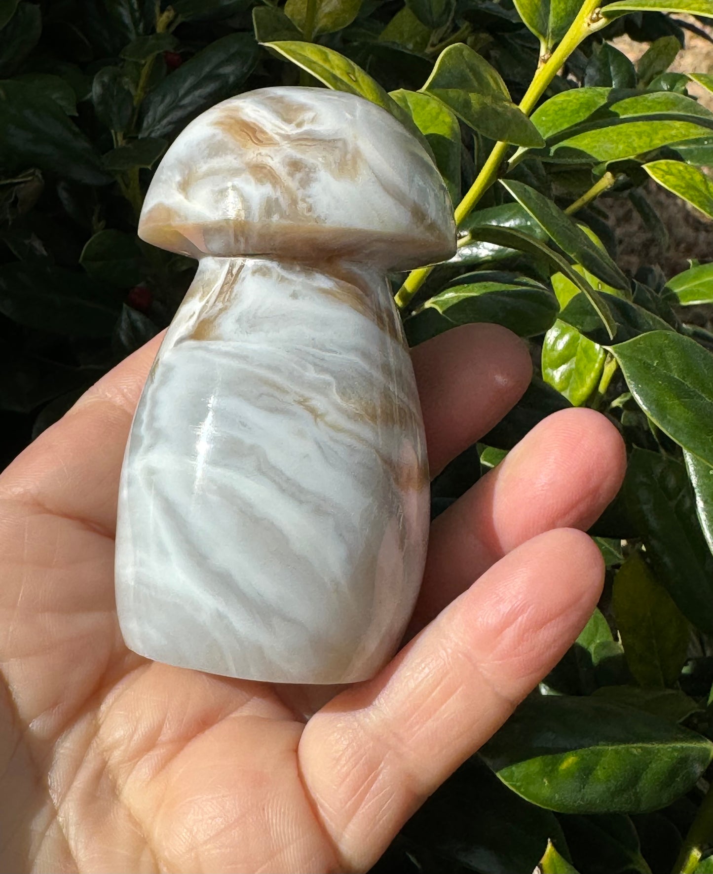 Ocean Jasper Mushroom Carving