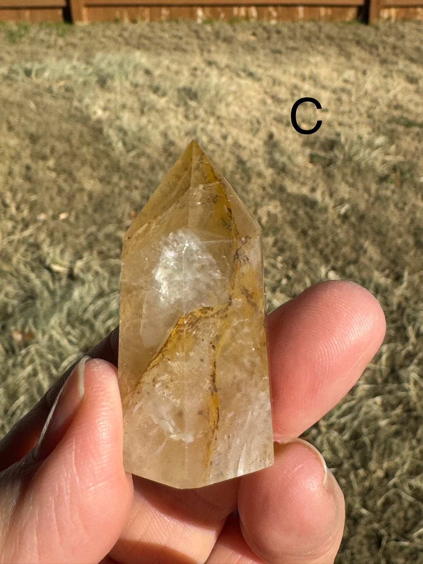 Dendritic Golden Healer Quartz Points