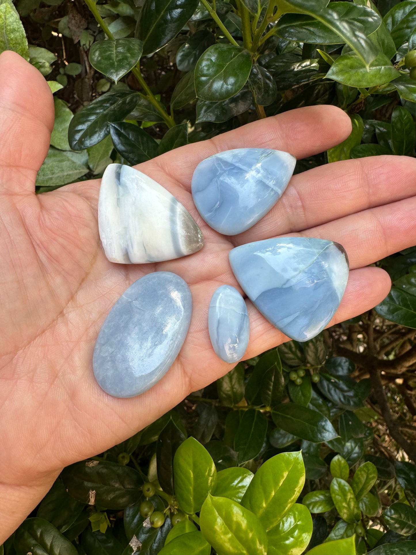 Blue Owyhee Opal Cabochon