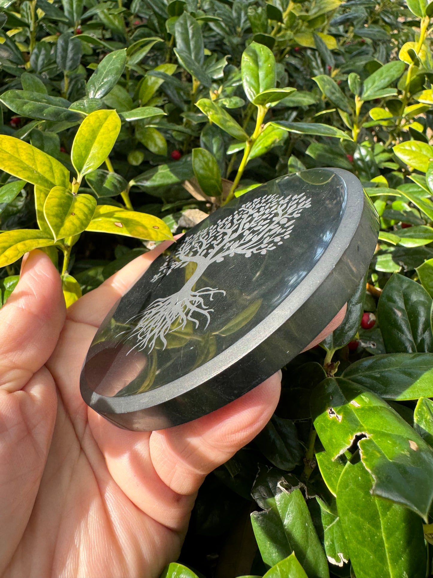 Shungite Plate Tree of Life