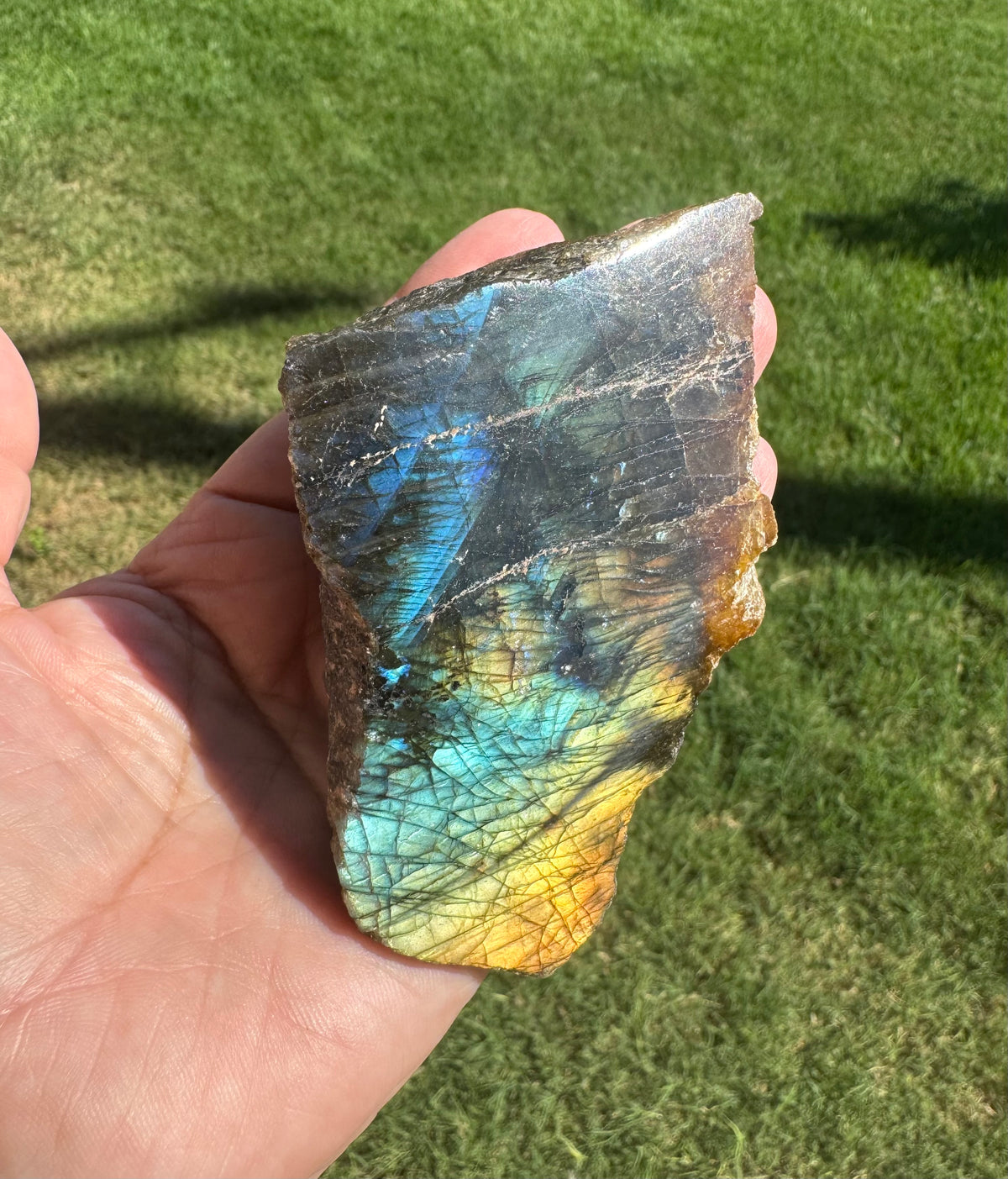 Natural Labradorite Semi-Polish