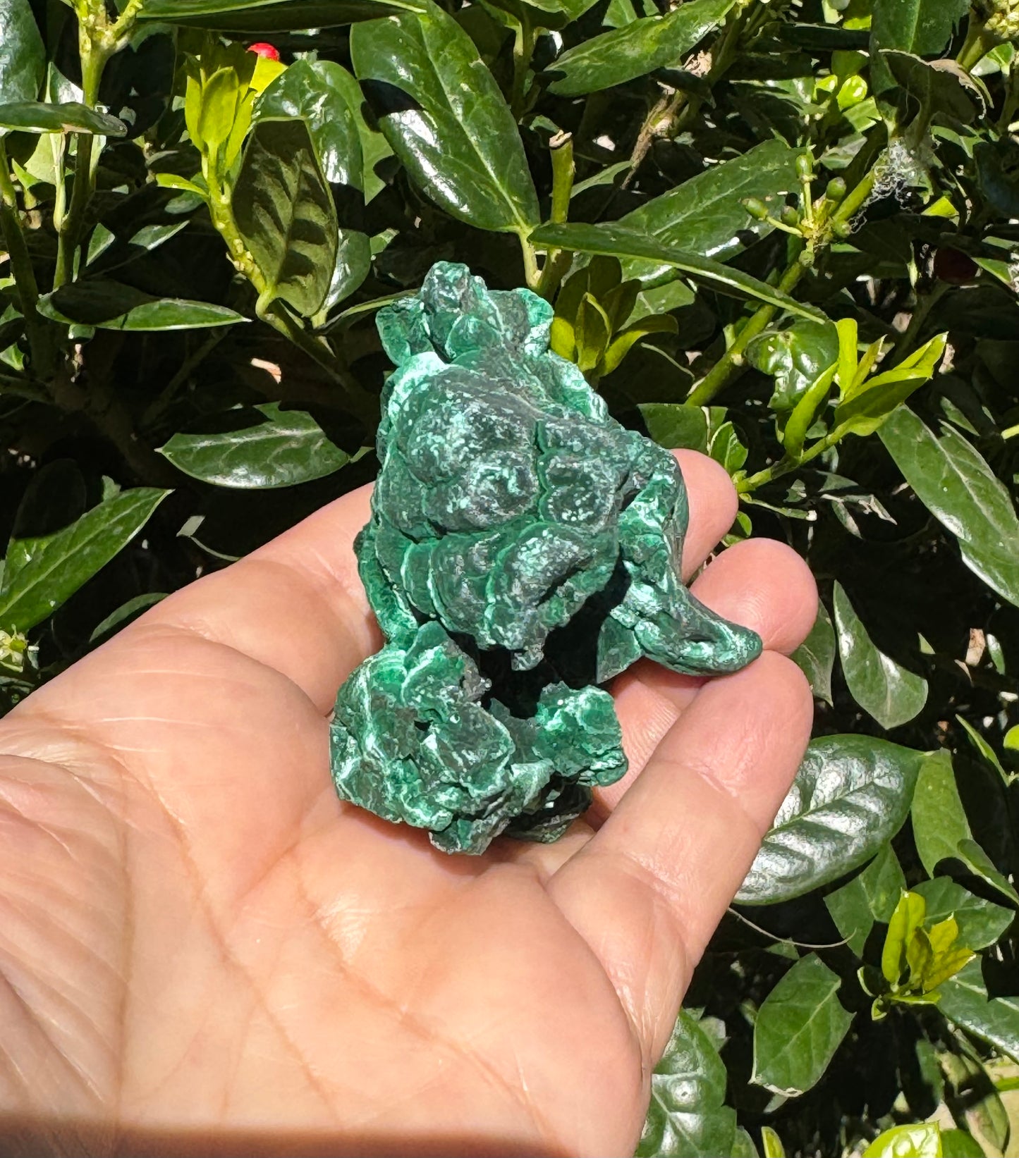 Velvet Malachite Specimen