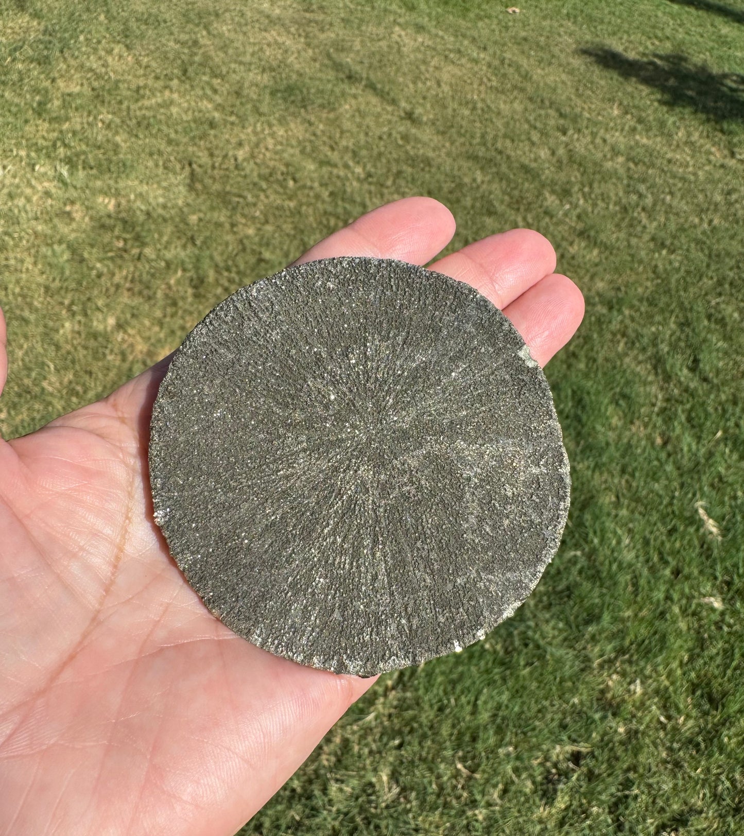 Pyrite Sun Specimen