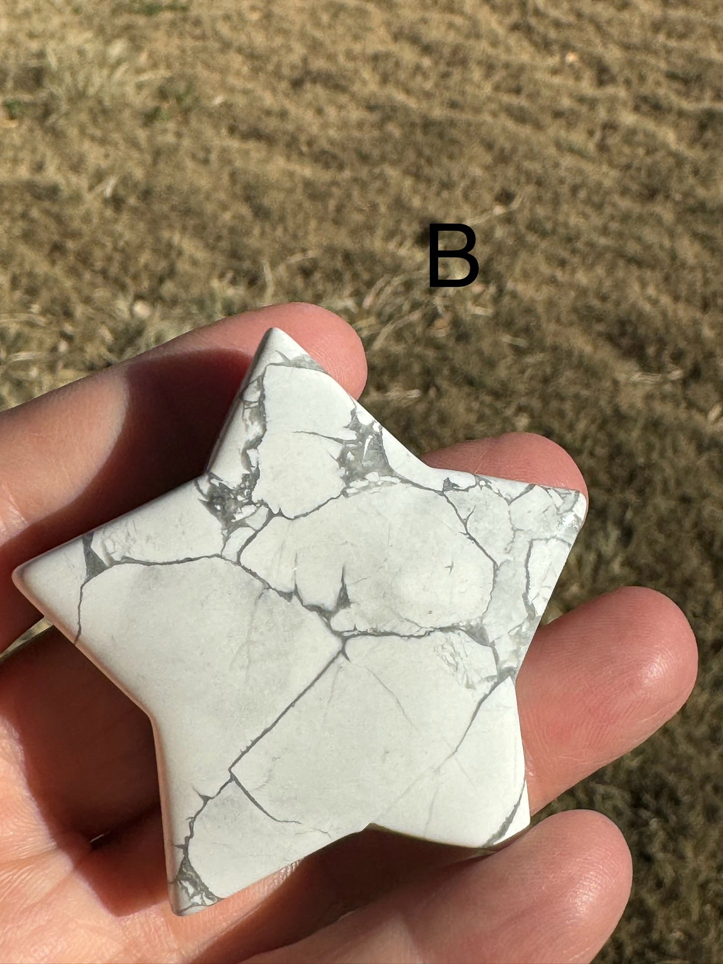 Howlite Star Carving