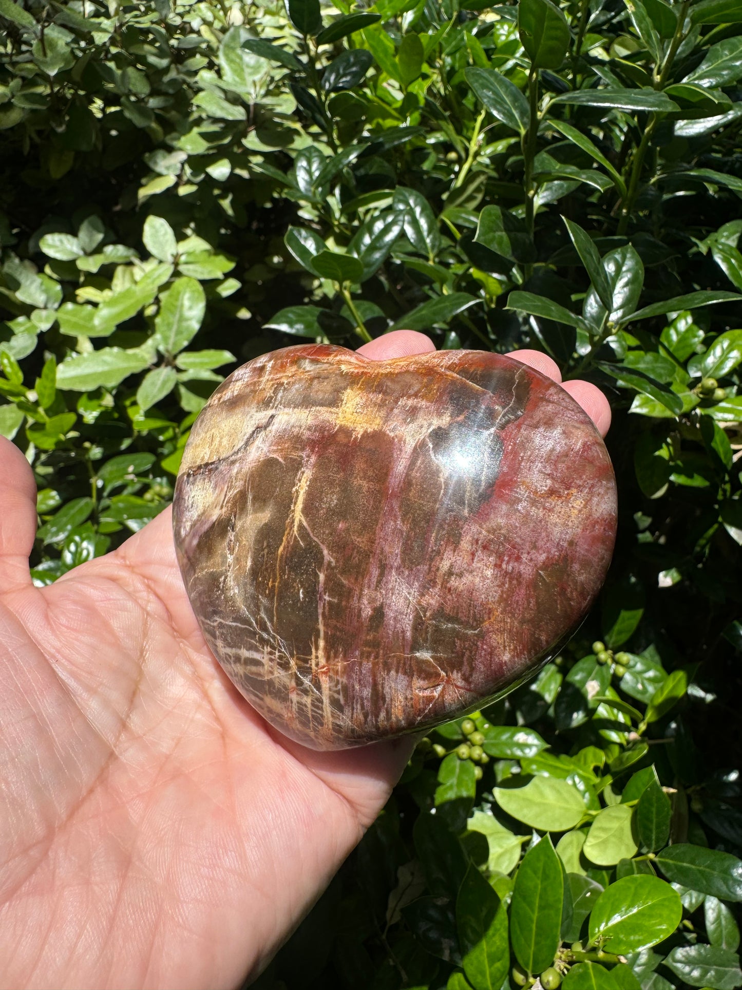 Petrified Wood Heart