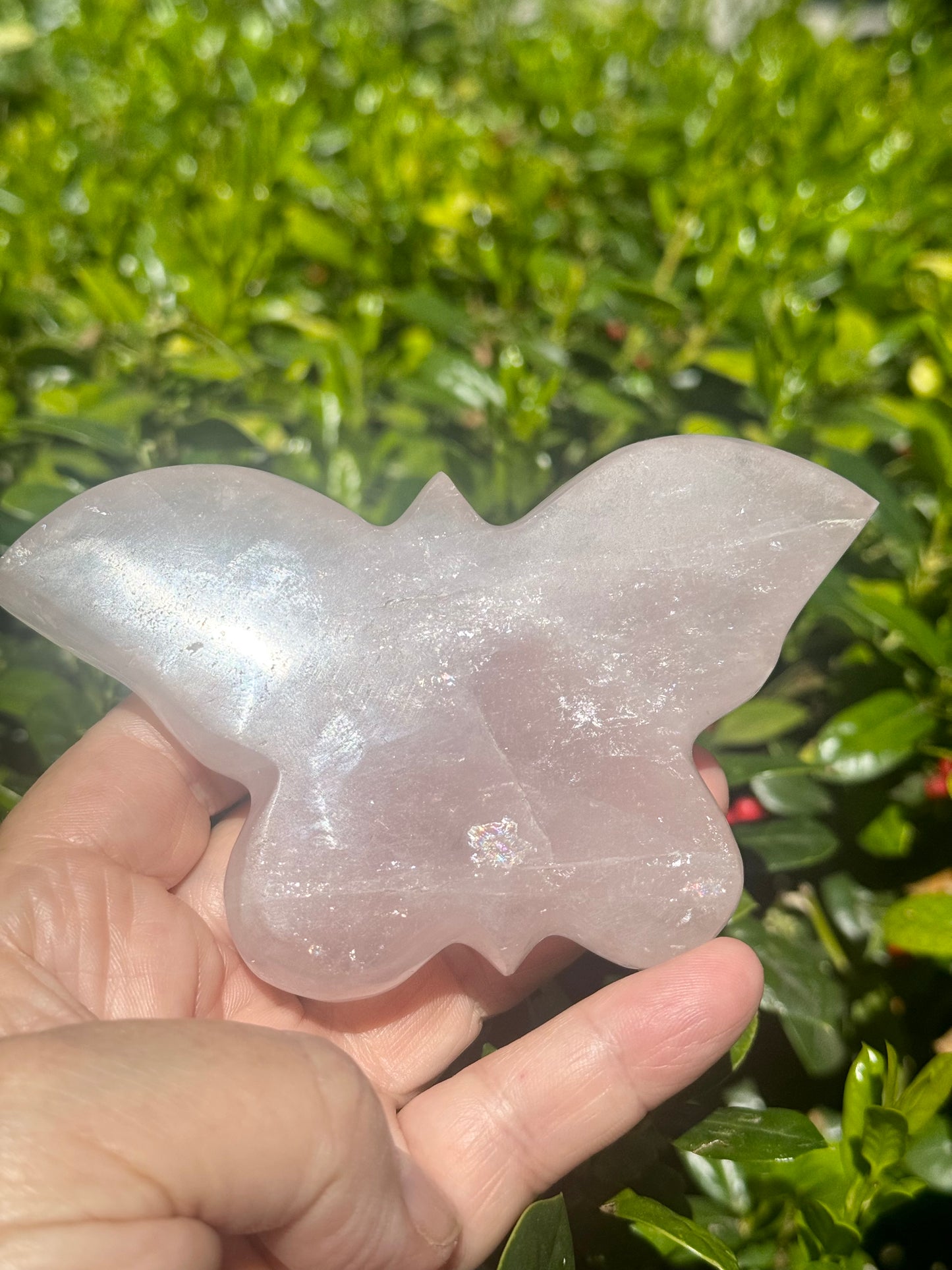 Rose Quartz Butterfly Carving