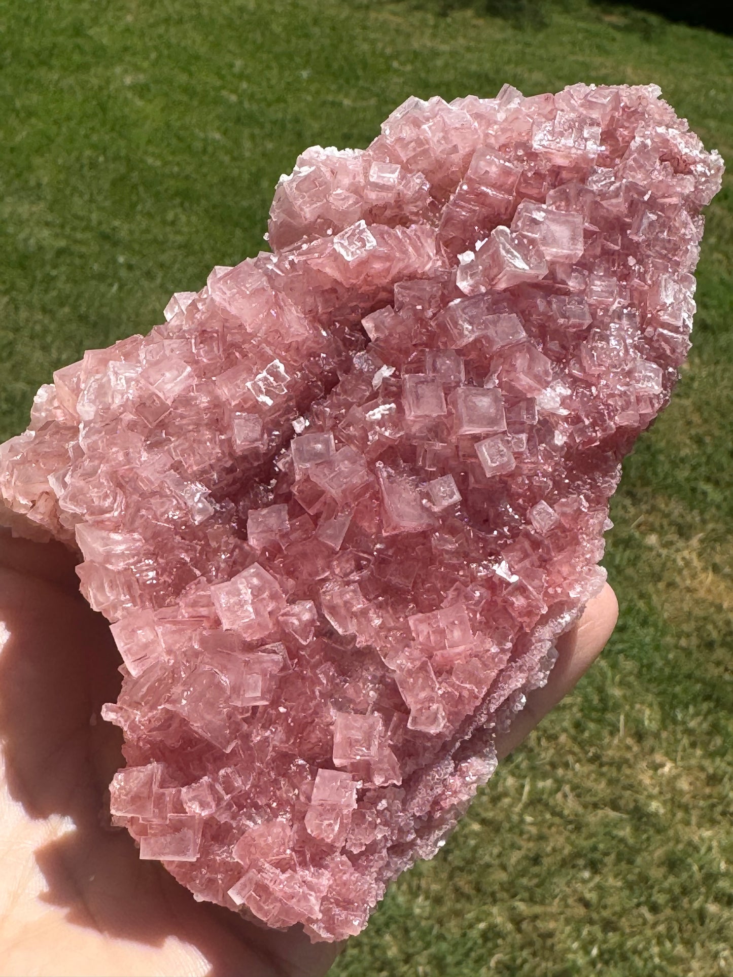 Pink Halite Crystal Specimen