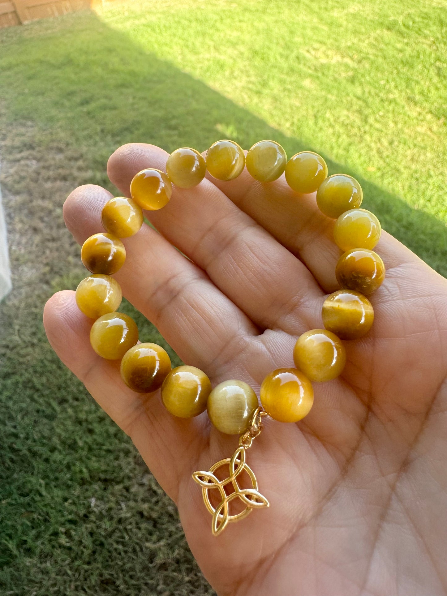 Gold Tiger's Eye Bracelet 10mm