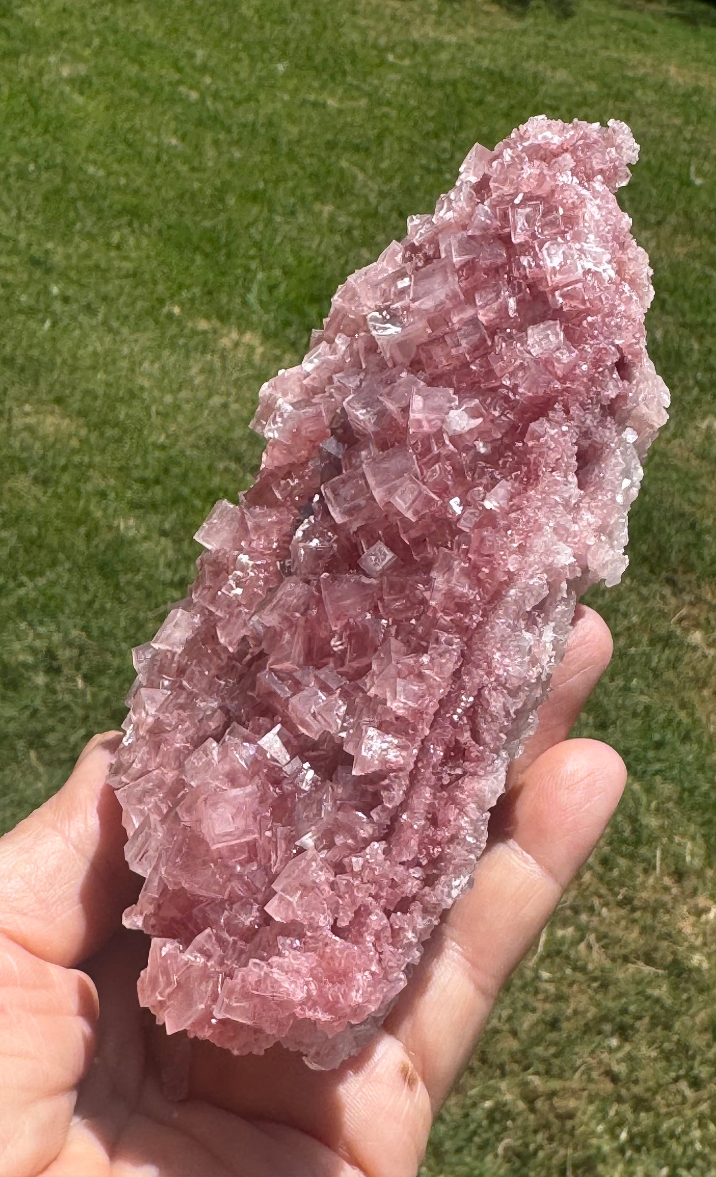Pink Halite Crystal Specimen