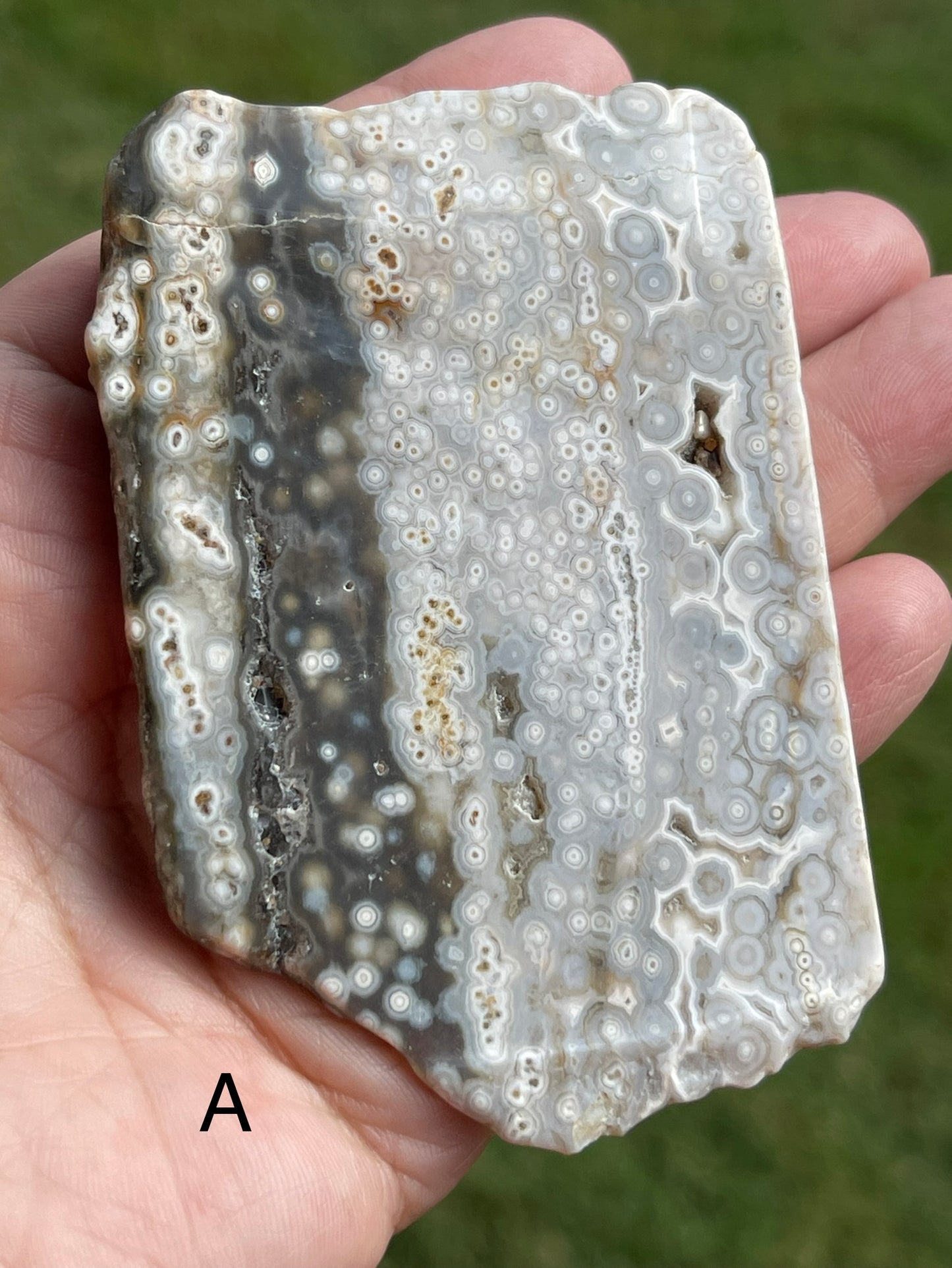 Ocean Jasper Slab