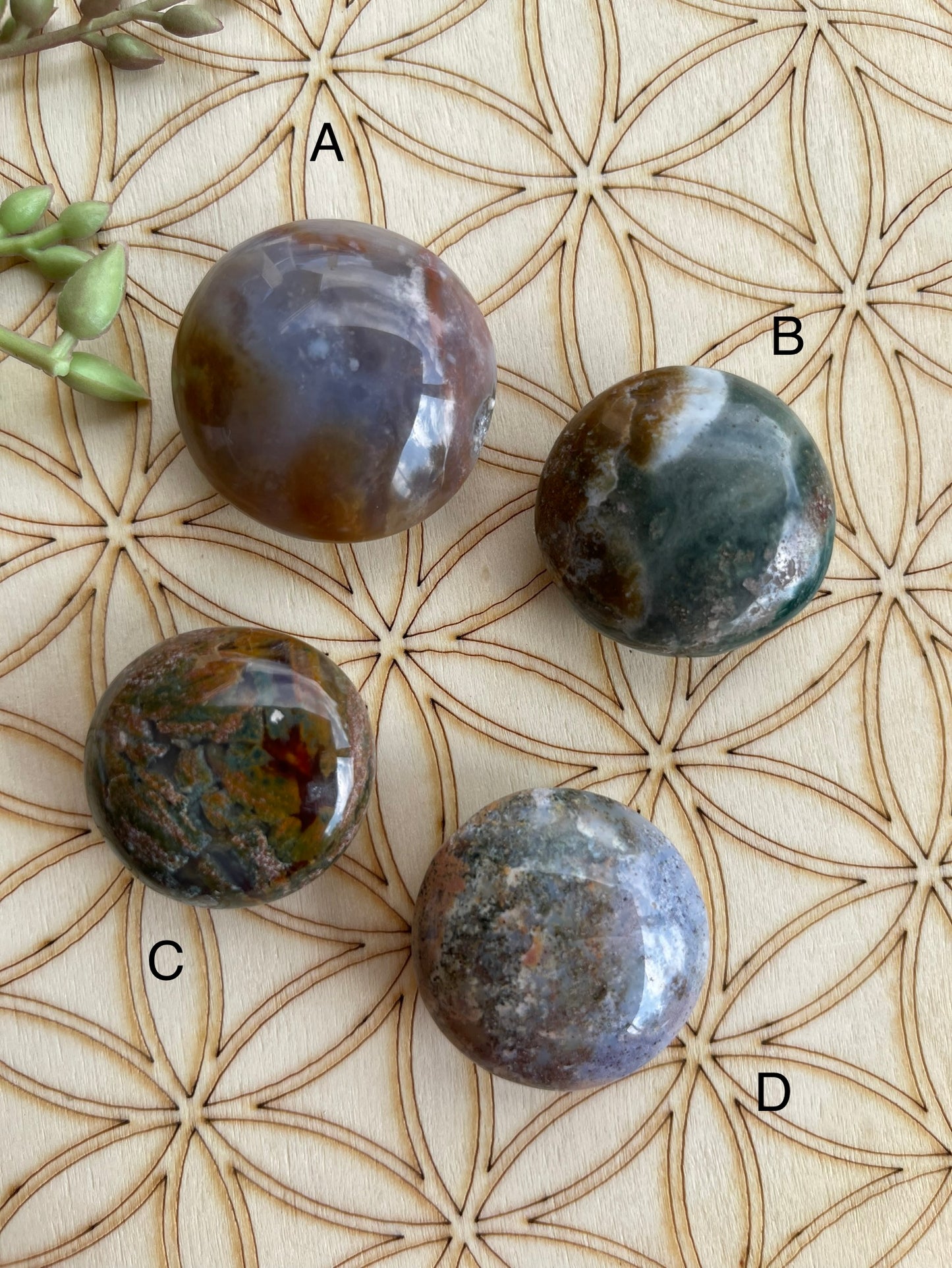 Ocean Jasper Small Palm