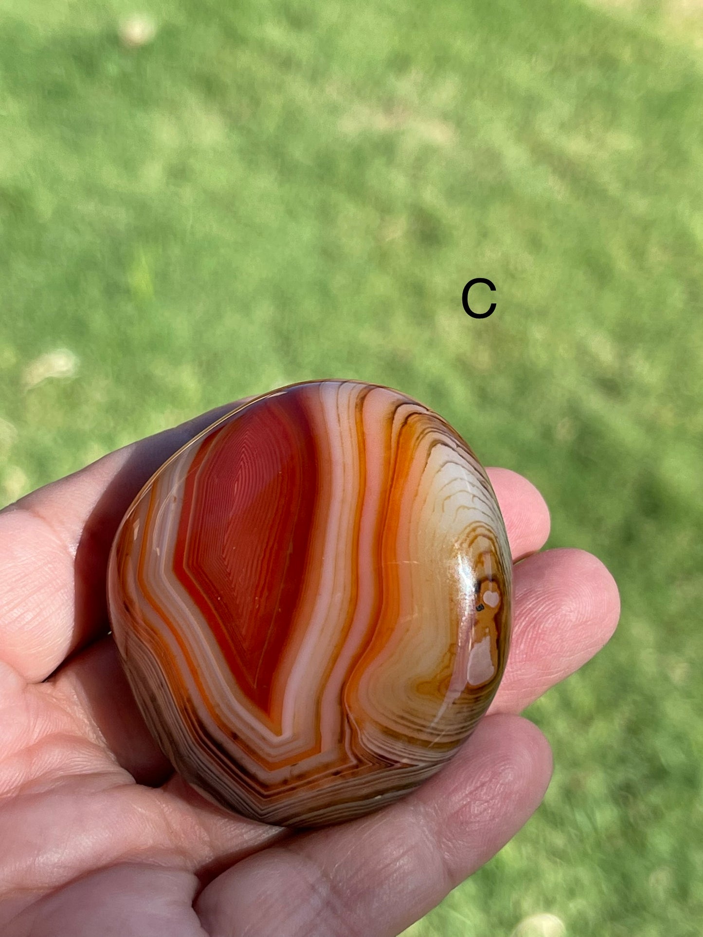 Sardonyx Palm