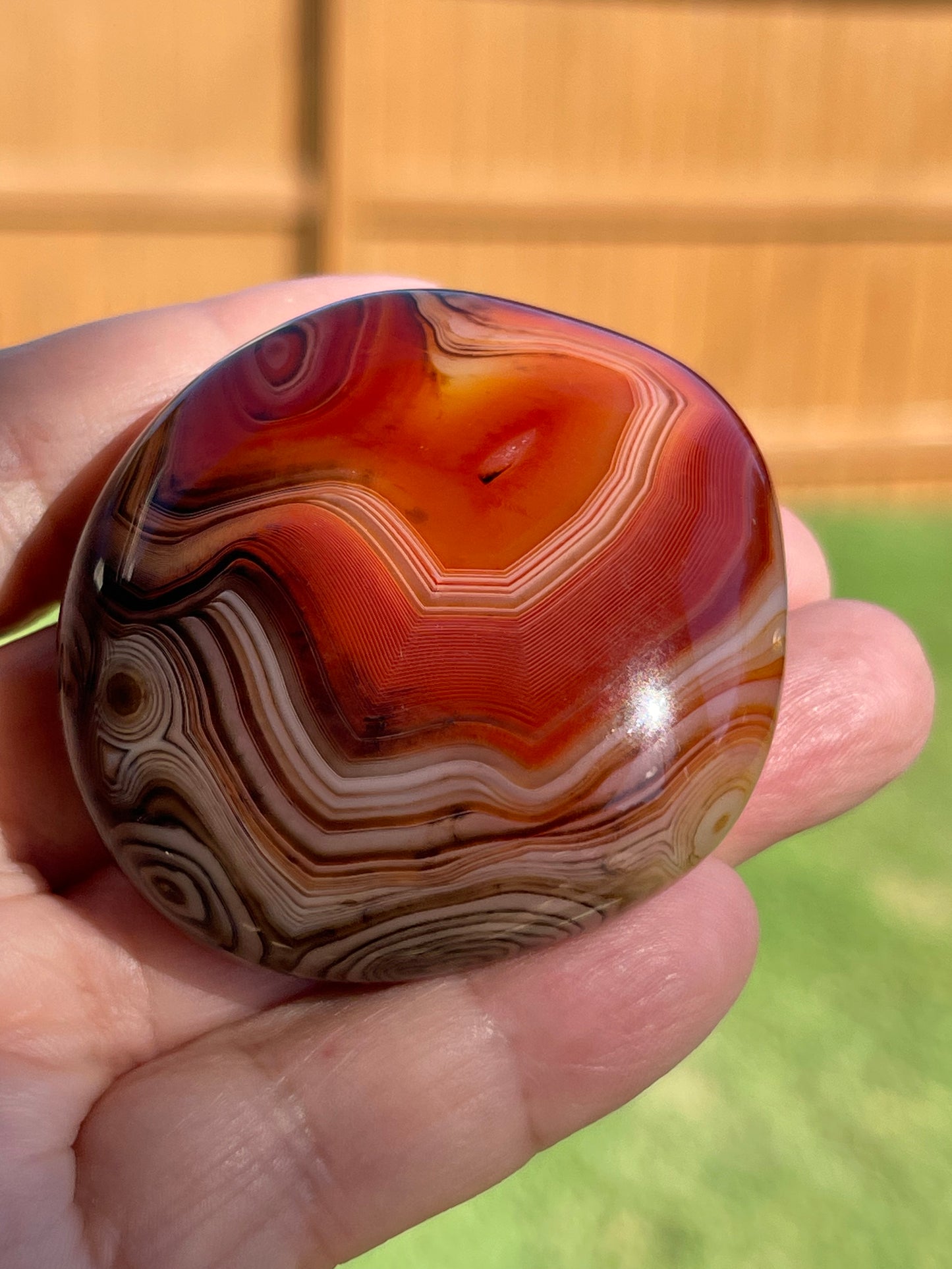 Sardonyx Palm