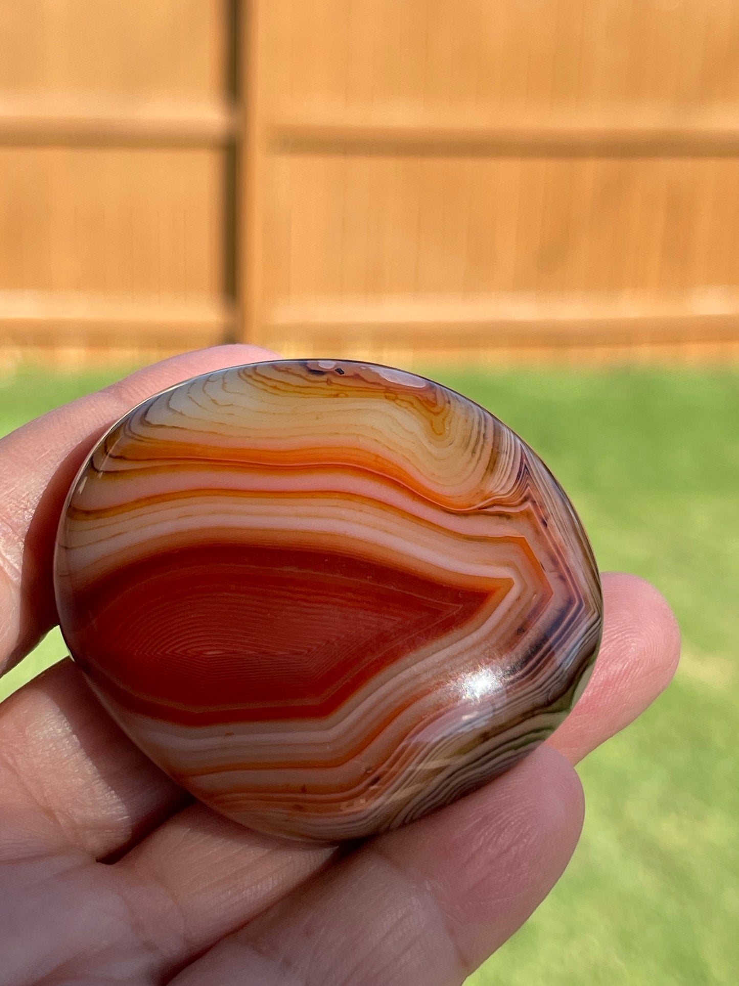 Sardonyx Palm