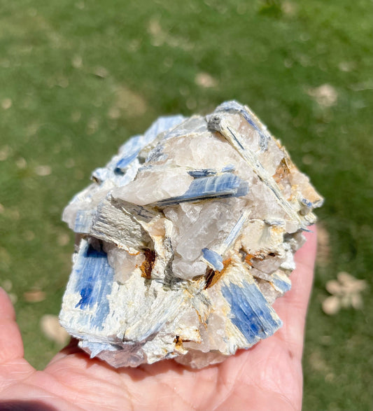 Blue Kyanite and Clear Quartz Specimen