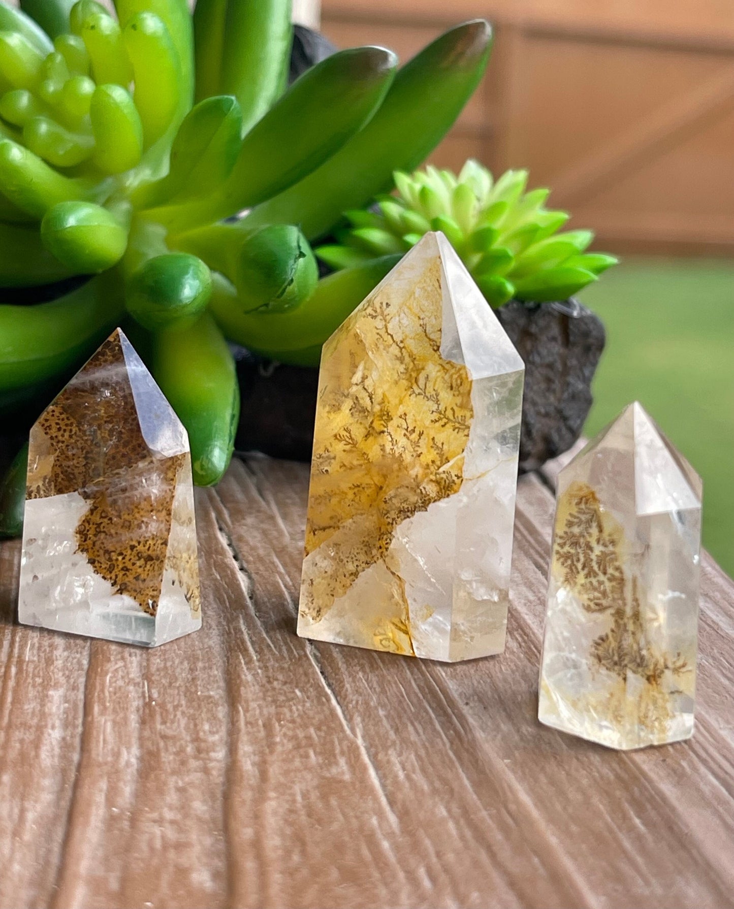 Dendritic Golden Healer Quartz Points